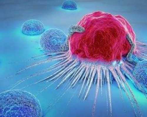 国内供卵代怀孩子,如果在西安私立医院做试管大约在多少钱左右