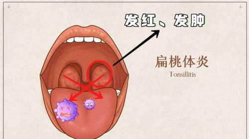 国内试管供卵中心,如果在丹东私立医院做试管大约在多少钱左右